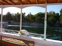 Blick auf den Botanischen Garten von Assuan