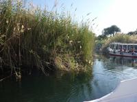 Ausflug mit dem Boot zum Nubischen Dorf