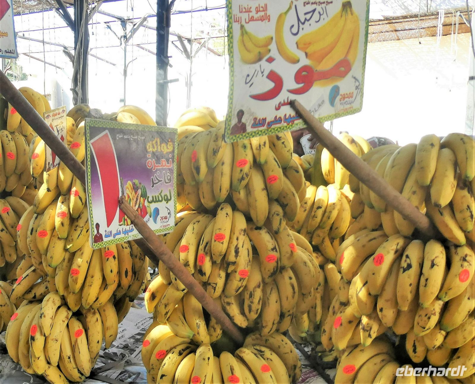 Bananen vom Nil