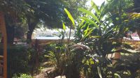 Botanischer Garten Assuan