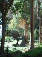 Botanischer Garten