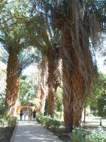 Botanischer Garten