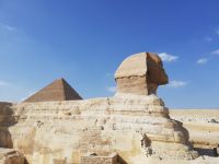 Der Sphinx