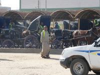 Edfu