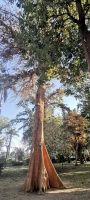 Im Botanischen Garten von Assuan