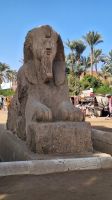 Memphis: Alabaster-Sphinx