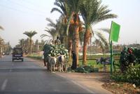 Oase_Fayoum