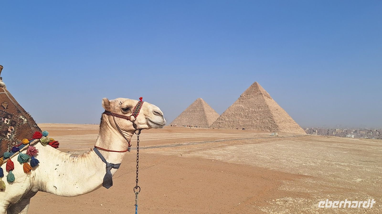 Pyramiden von Gizeh