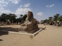 Sphinx in Memphis