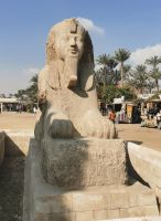 Sphinx in Memphis