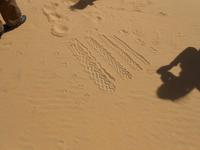 Spuren im Sand