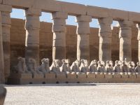 Tempel des Amun Re