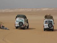 Unsere Jeeps