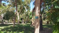 botanischer Garten Assuan