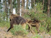 Familienausflug &ndash; &copy; Jürgen Schmeißer (Eberhardt TRAVEL)