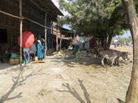 äthiopisches Dorf: auf dem Weg zum Nilwasserfall &ndash; &copy; Jürgen Schmeißer (Eberhardt TRAVEL)