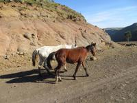 im Simien-NP &ndash; &copy; Jürgen Schmeißer (Eberhardt TRAVEL)