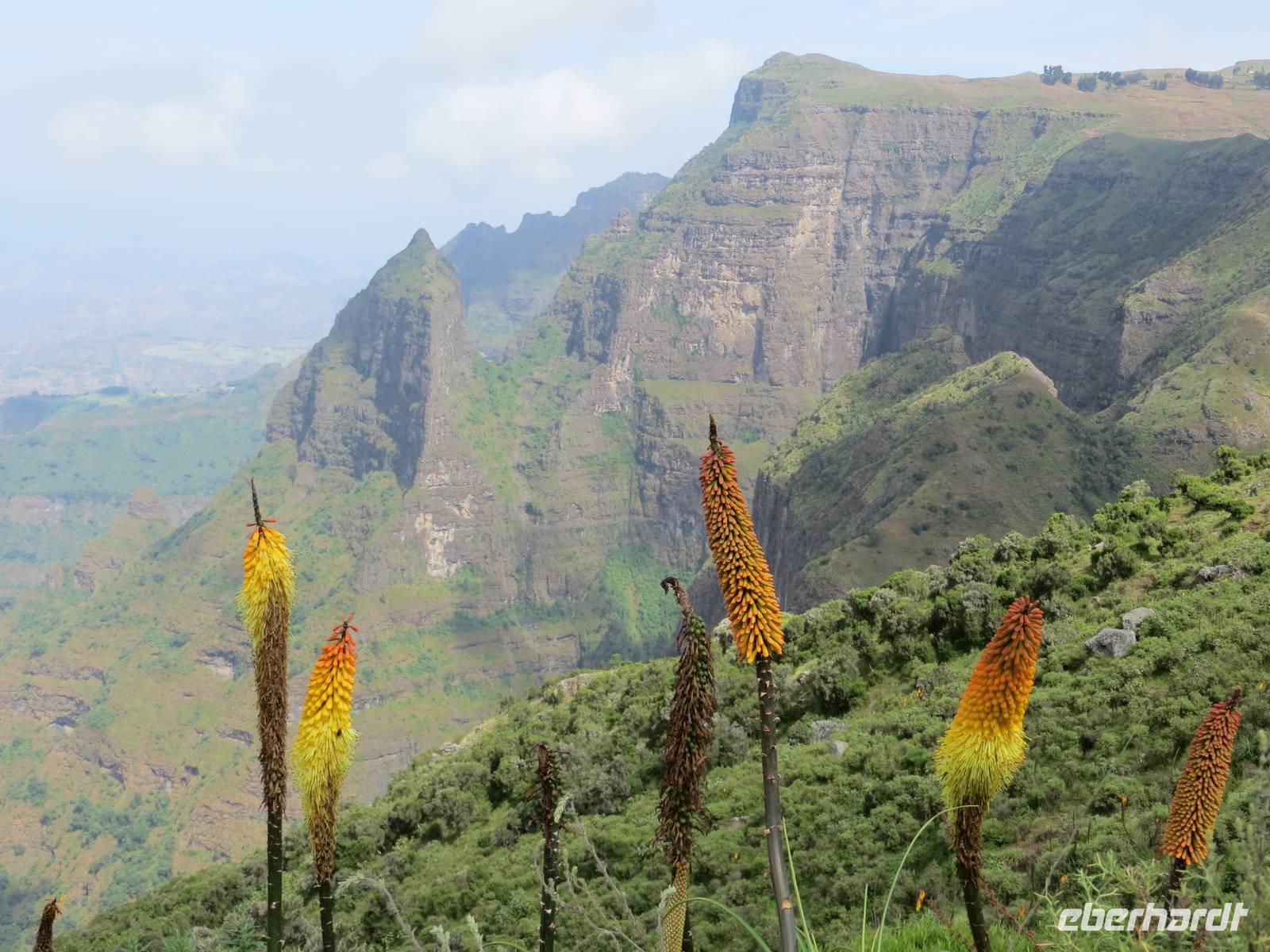 im Simien-NP &ndash; &copy;  (Eberhardt TRAVEL)