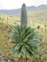 im Simien-NP &ndash; &copy; Jürgen Schmeißer (Eberhardt TRAVEL)