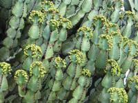 &copy; Jürgen Schmeißer (Eberhardt TRAVEL)