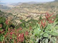 im äthiopischen Hochland &ndash; &copy; Jürgen Schmeißer (Eberhardt TRAVEL)