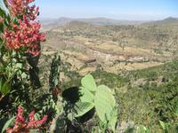 im äthiopischen Hochland &ndash; &copy; Jürgen Schmeißer (Eberhardt TRAVEL)