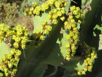 &copy; Jürgen Schmeißer (Eberhardt TRAVEL)