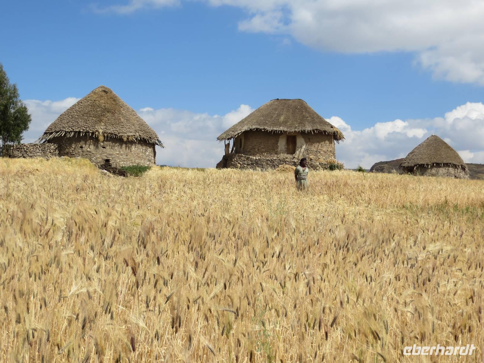 dörfliches Szenario &ndash; &copy;  (Eberhardt TRAVEL)