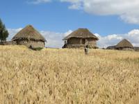 dörfliches Szenario &ndash; &copy; Jürgen Schmeißer (Eberhardt TRAVEL)