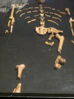 Lucie-Replik &ndash; &copy; Jürgen Schmeißer (Eberhardt TRAVEL)