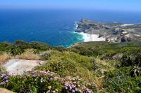 Südafrika - Kap der Guten Hoffnung