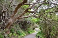 Südafrika Impressionen