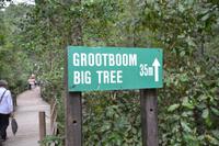 Südafrika - Tsitsikamma-Nationalpark