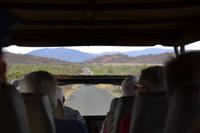 Südafrika - Pilanesnationalpark 