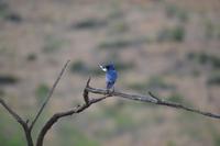Südafrika - Pilanesnationalpark 