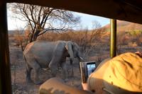 Südafrika - Pilanesnationalpark 