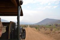 Südafrika - Pilanesnationalpark 