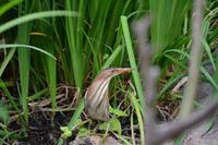 Südafrika - Wegbegleiter