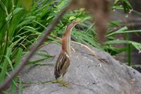 Südafrika - Wegbegleiter