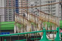 Hongkong Impressionen