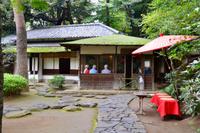 Tokio - Garten der Acht Ausblicke