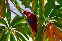 Australien Impressionen