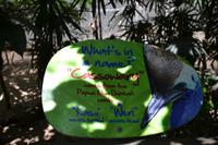 Australien Impressionen