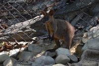 Australien Impressionen