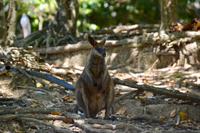 Australien Impressionen