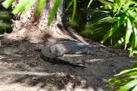 Australien Impressionen