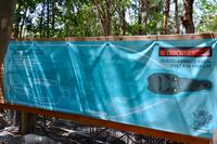 Größenvergleich Mensch - Krokodil