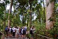 Australien Impressionen