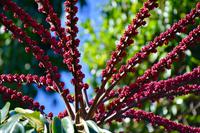 Australien Impressionen