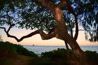 Australien Impressionen